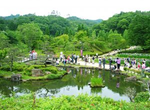 あやめ園